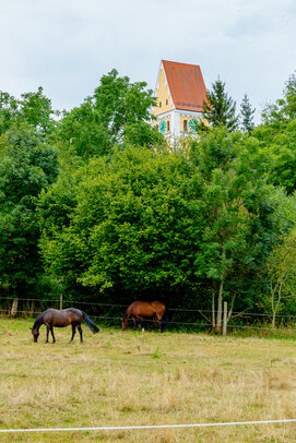 Thumbnail: _JA 40736 Pferde, Kirchturm dahinter.jpg